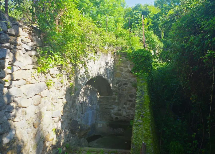 Puig Roja Del Roser