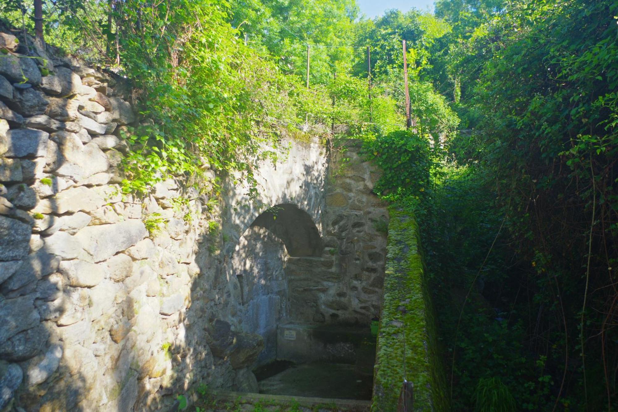 Puig Roja Del Roser *